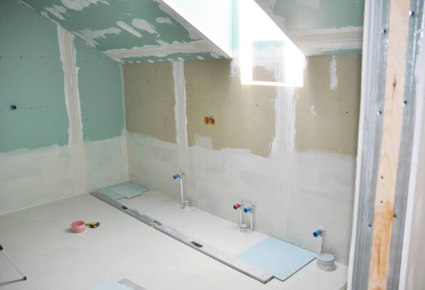 Best Water Damage & Mold Remediation  in Orion, IL