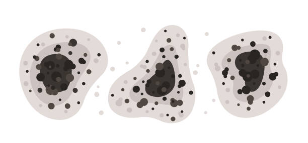 Best Air Quality Testing for Mold Spores  in Orion, IL