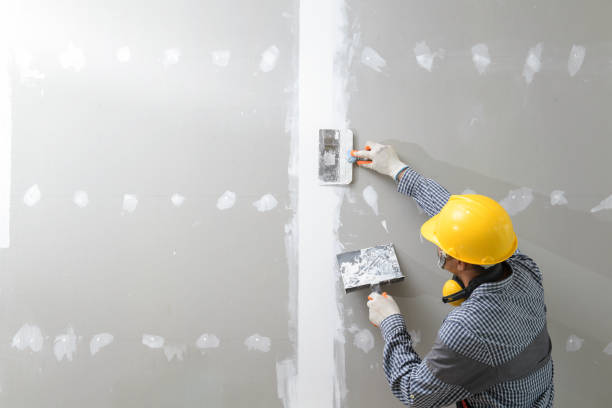 Best Environmental Consulting for Mold Prevention  in Orion, IL