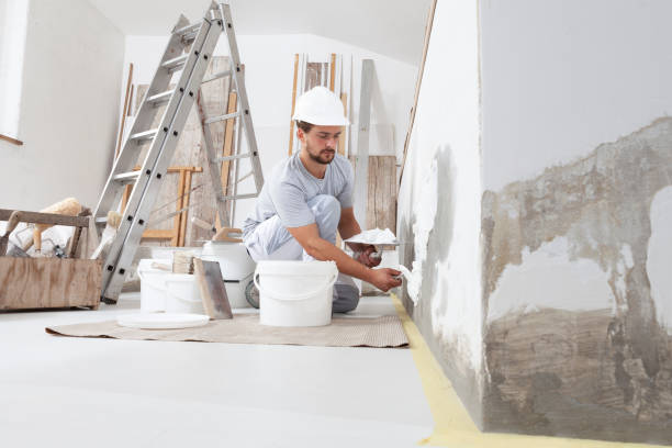 Best Airborne Mold Testing  in Orion, IL