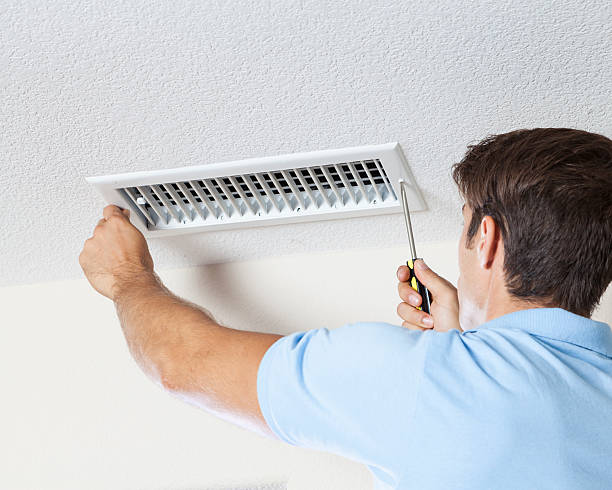 Best Mold Damage Restoration  in Orion, IL